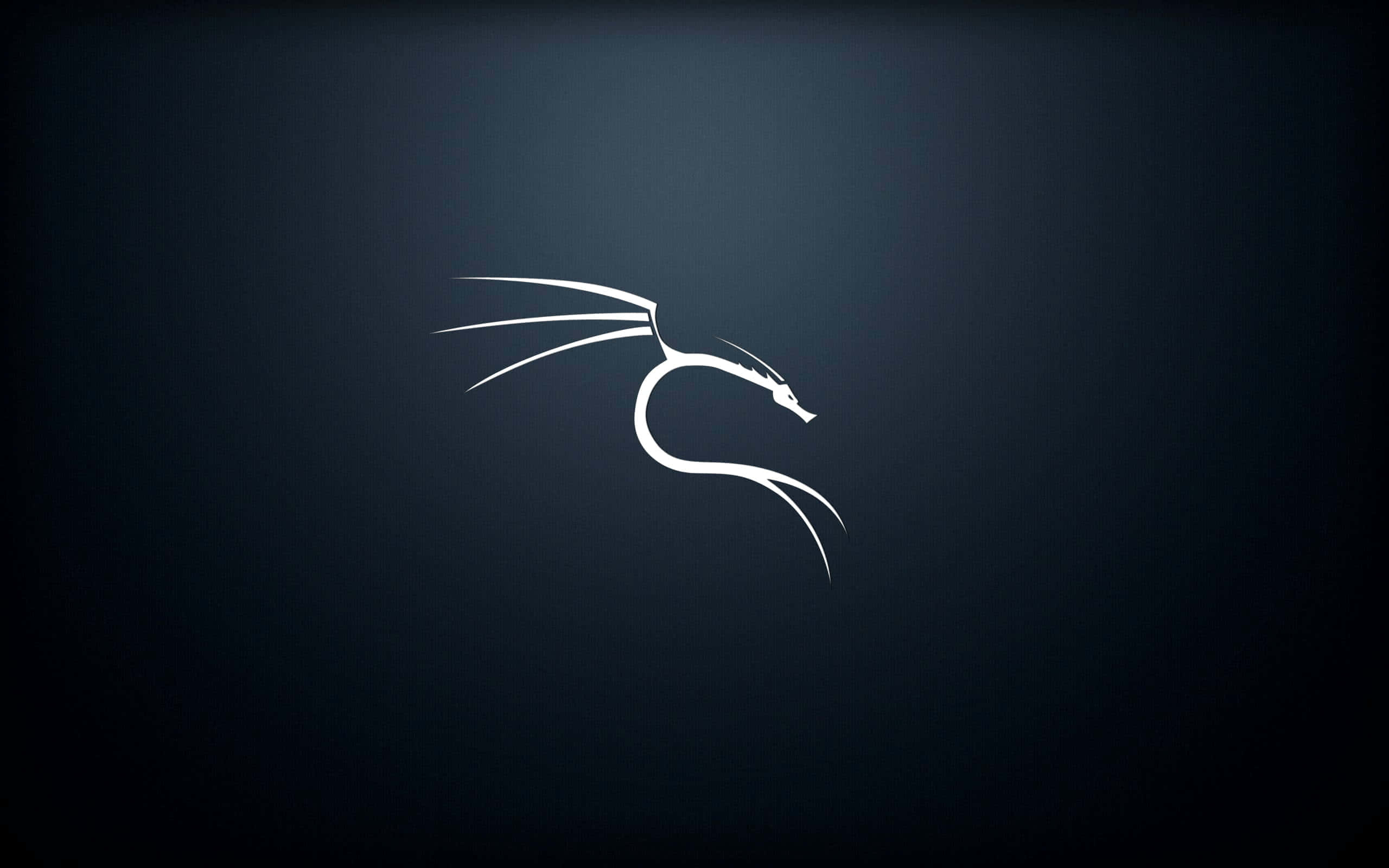 2560x1600 Linux: Kali Linux. Wallpaper