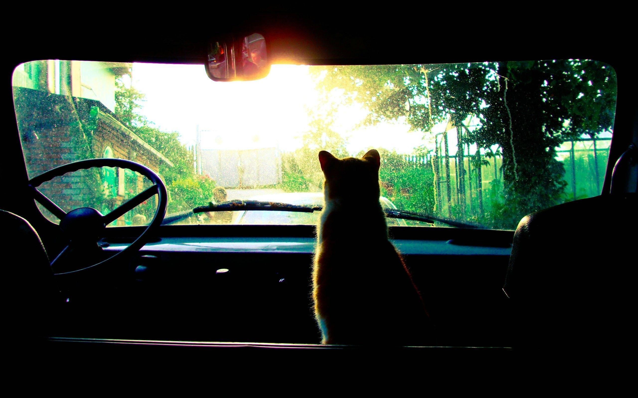 2560x1600 Road Trip Wallpaper