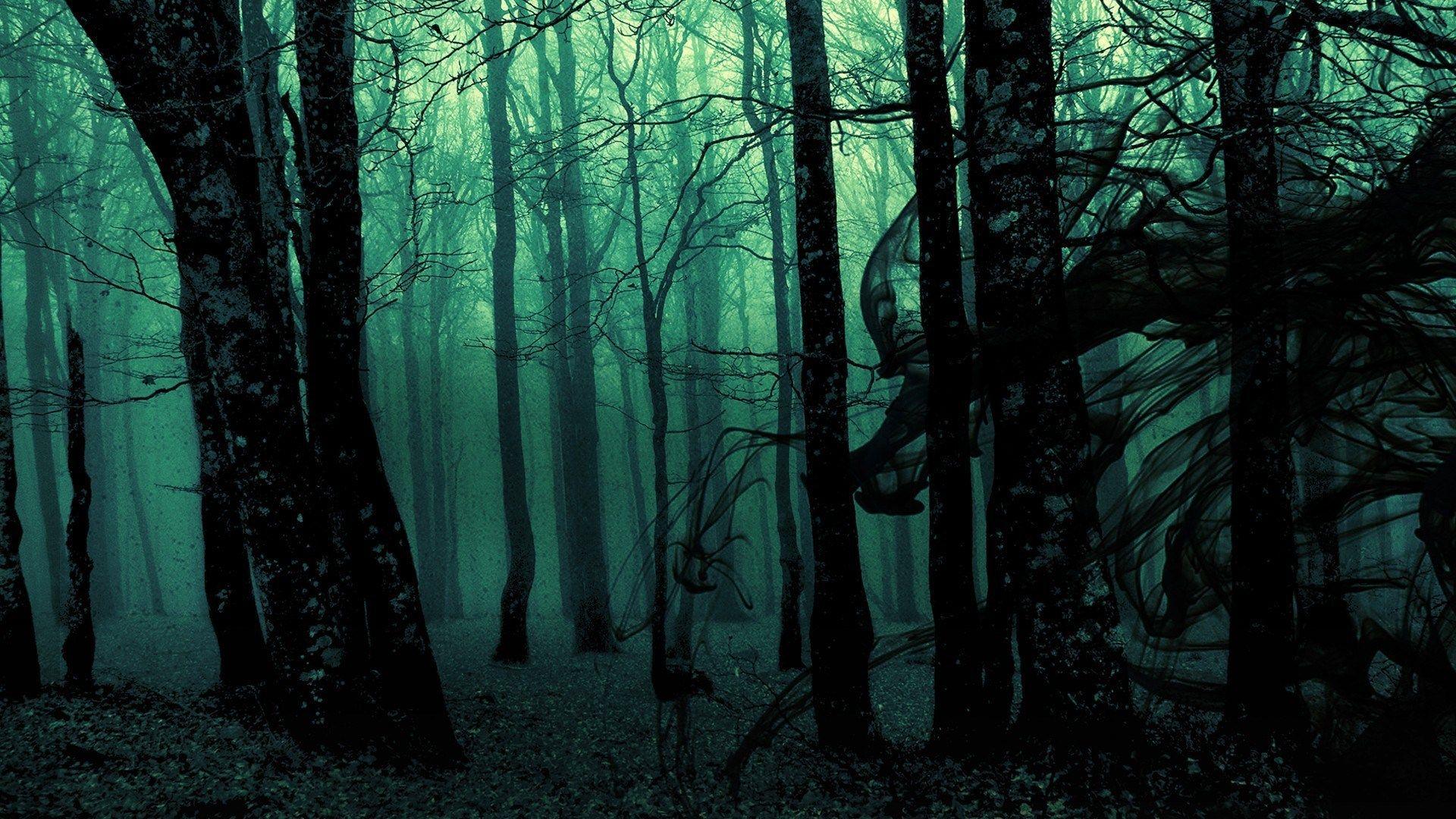 Gothic Forest Wallpapers - Top Free Gothic Forest Backgrounds