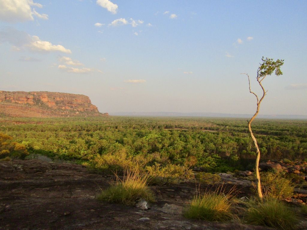 1024x768 What to See in Kakadu National Park