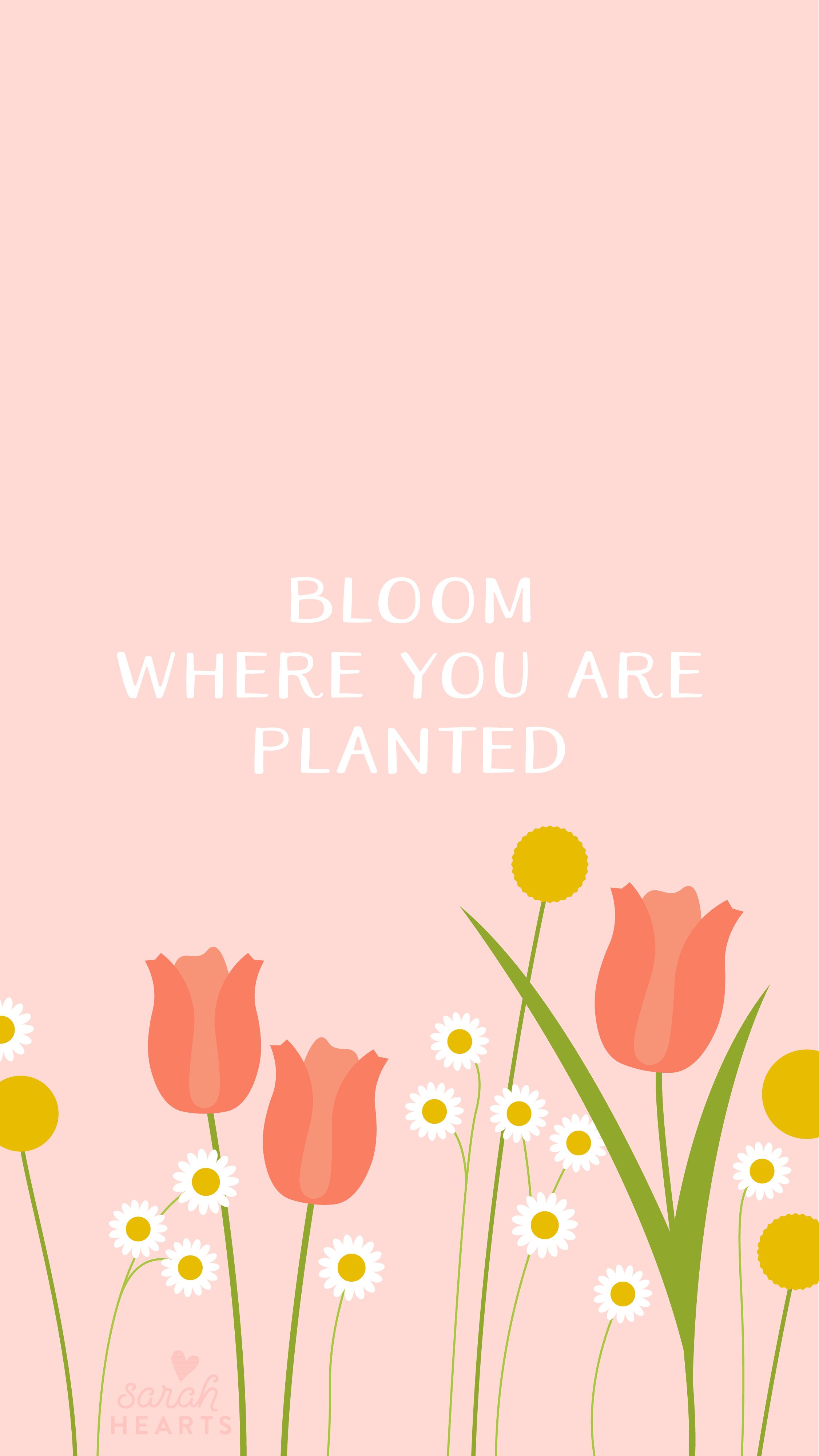 2251x4000 Spring Quote Wallpaper