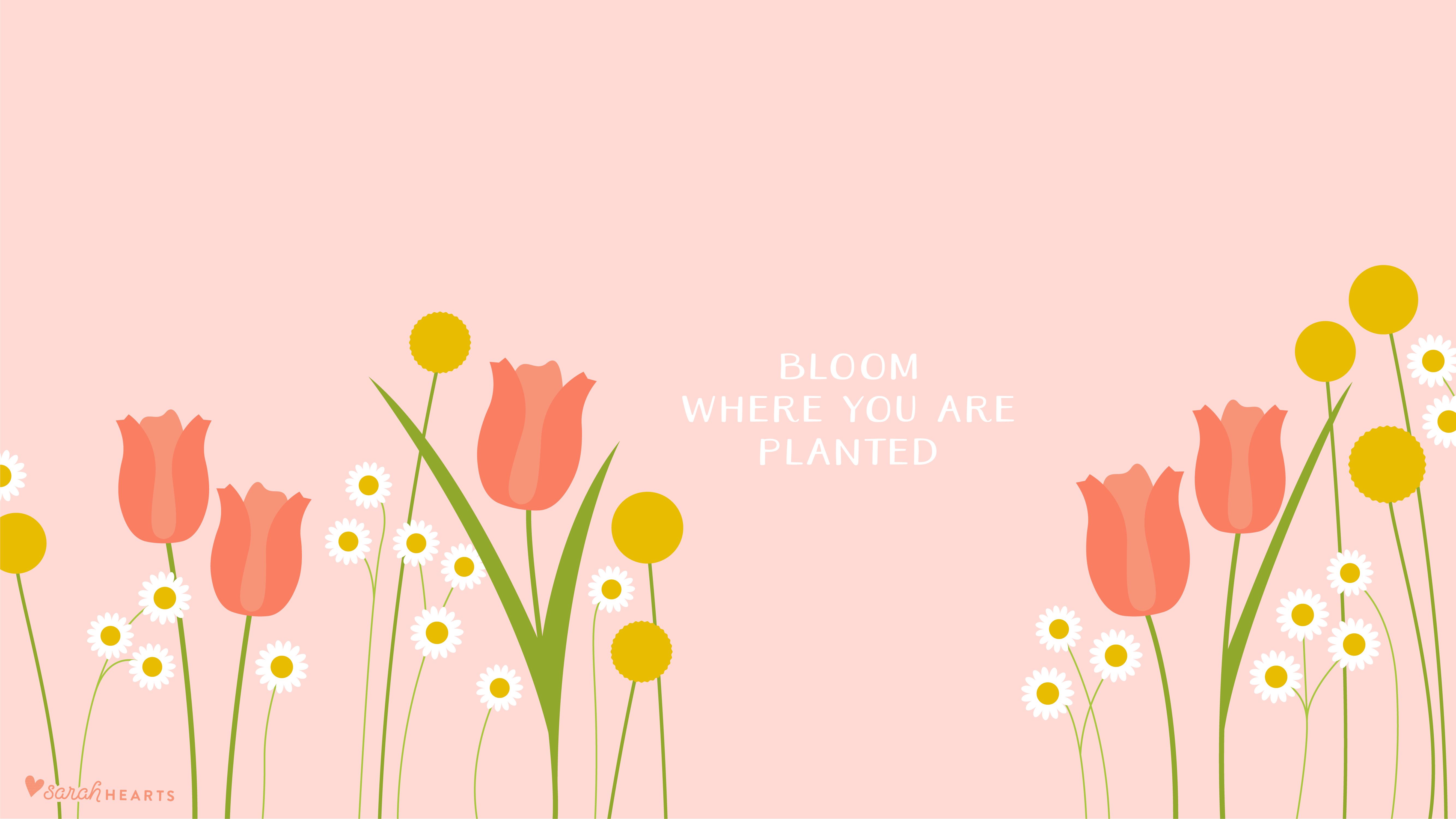 5334x3001 May 2017 Calendar Wallpaper