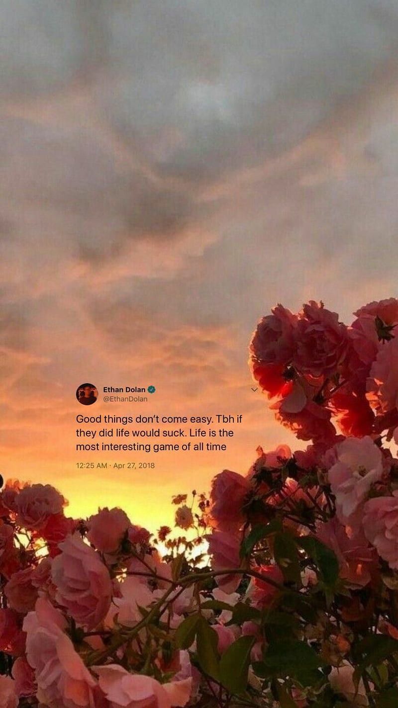 800x1424 aesthetic, flowers, nature, quotes