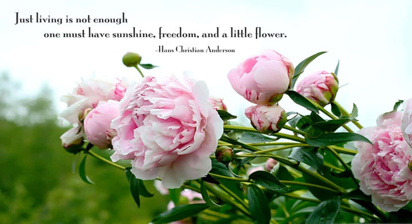 1364x740 Spring with inspiring quotes Wallpaper