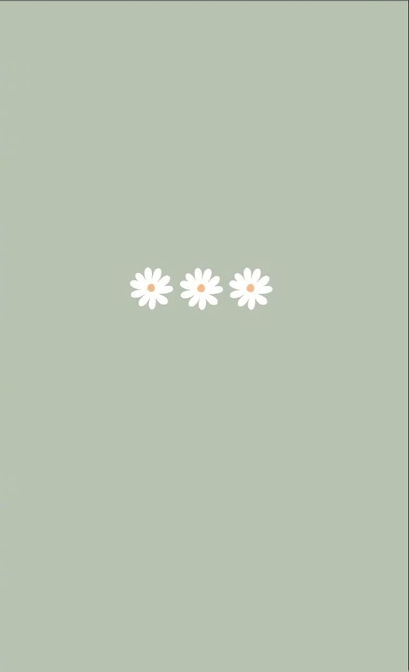 800x1316 HD phone wallpaper