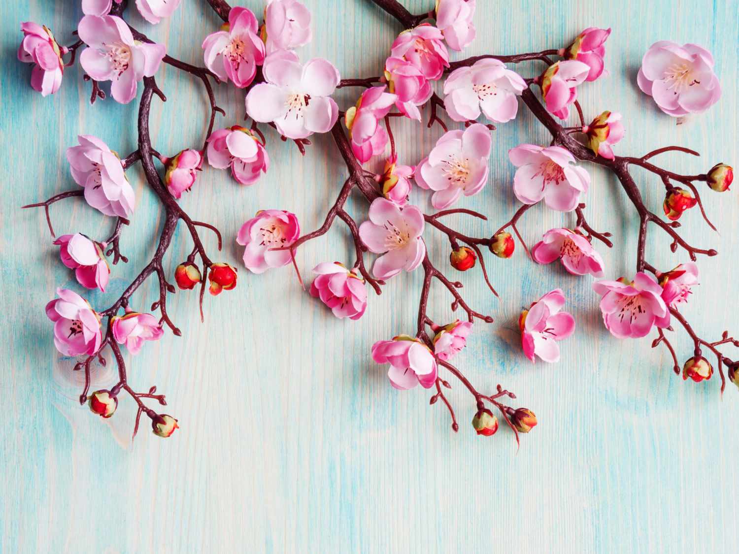 1500x1125 Joyful Quotes About Spring