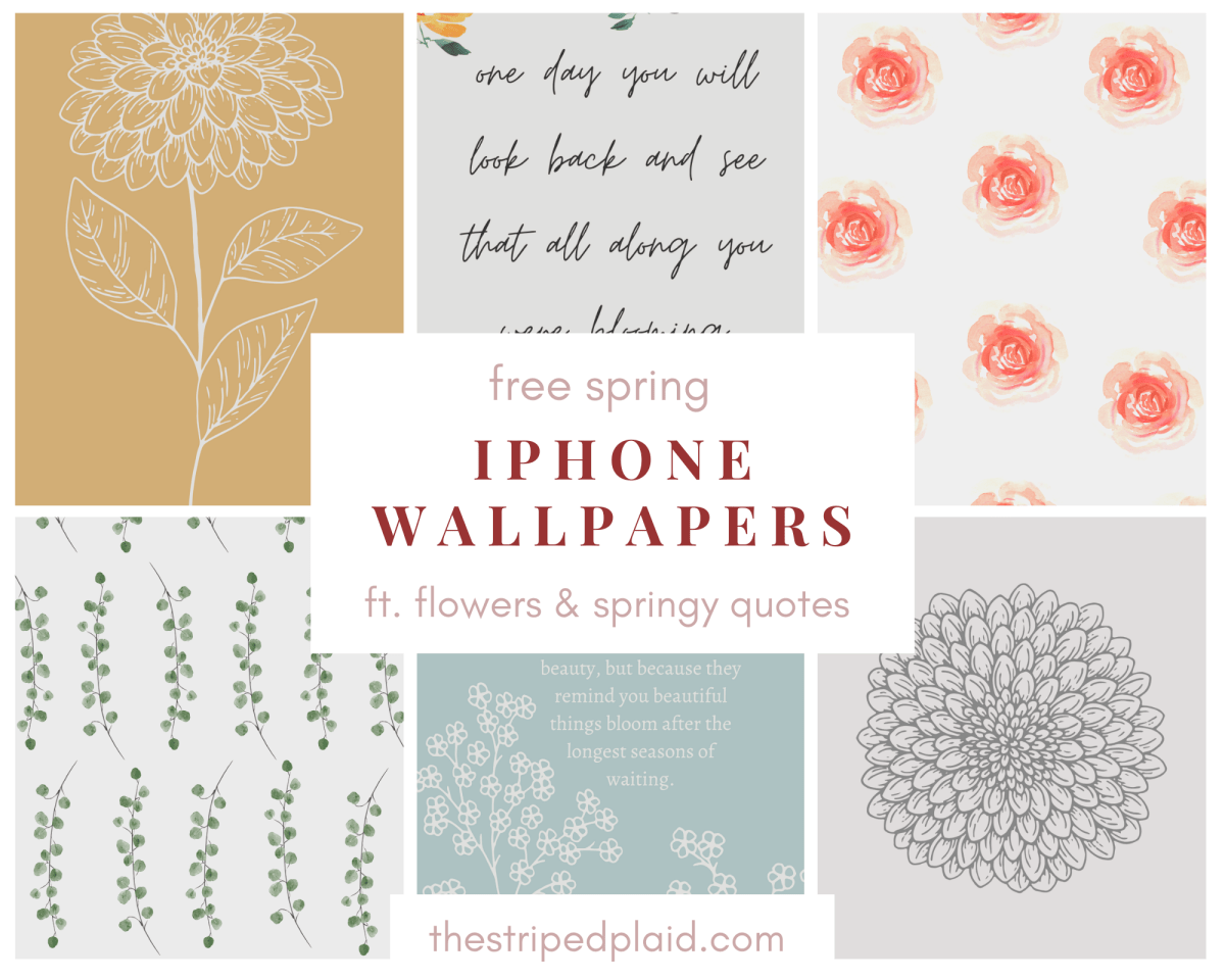 1200x960 Spring iPhone Wallpaper ft. Flowers