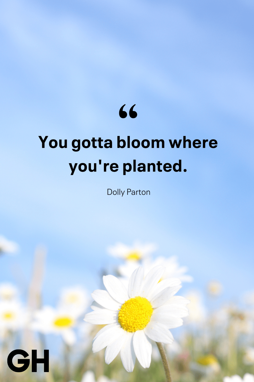 980x1470 Best Happy and Poetic Spring Quotes