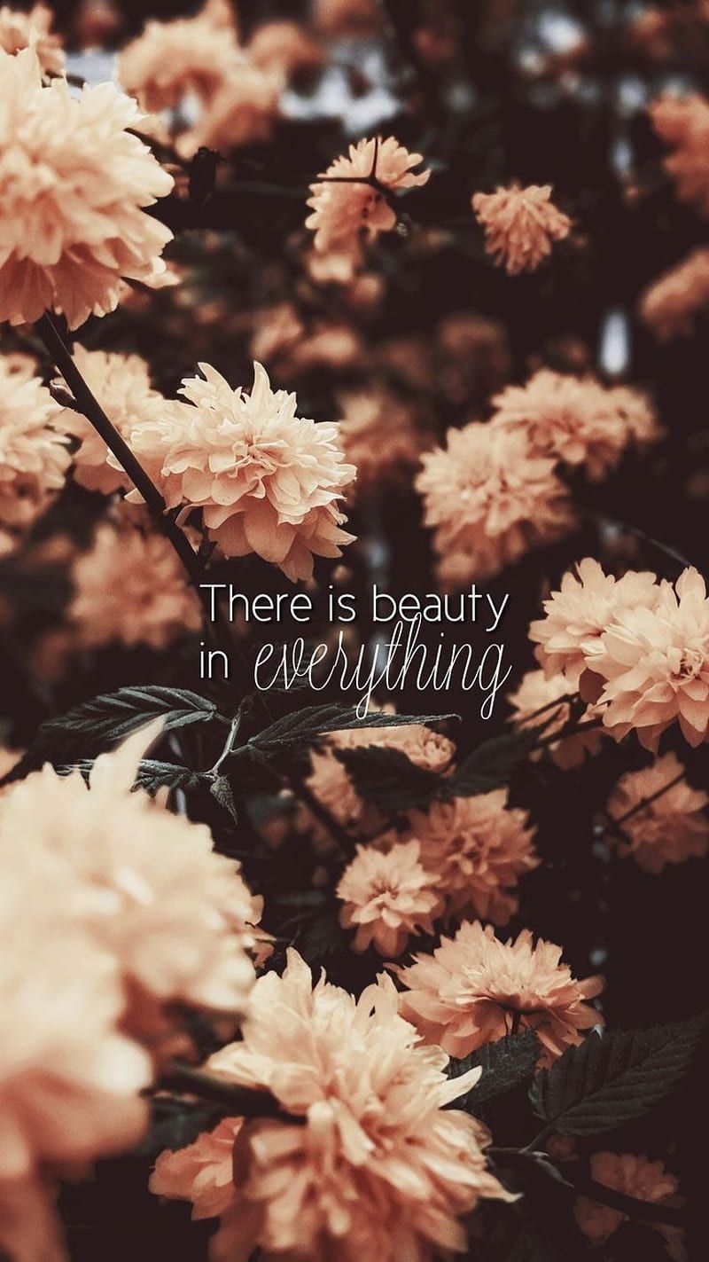 800x1423 Quotes n flowers, flowers, sayings