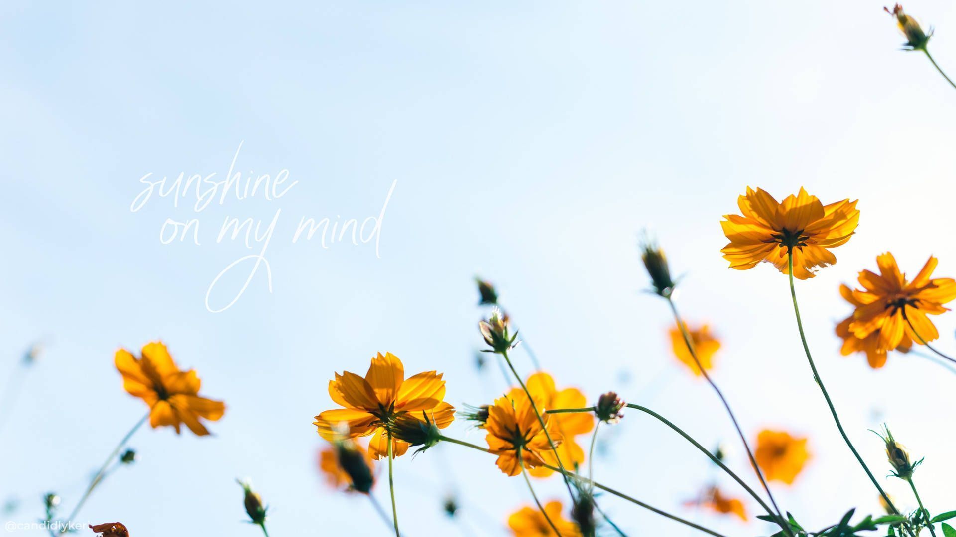 1920x1080 Spring Aesthetic Quotes Wallpaper