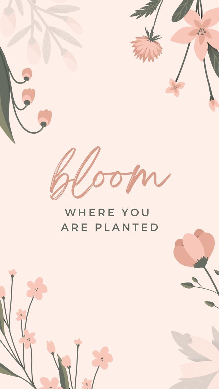736x1308 phone background wallpaper quote