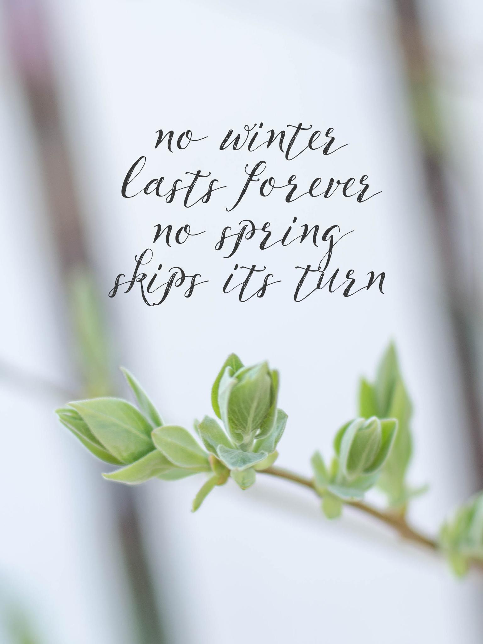 1536x2048 Spring Quote Wallpaper