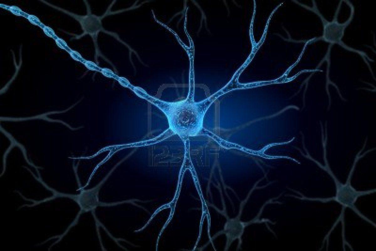 Neurons in the Brain Firing Stock Illustration - Illustration of dark,  neuron: 275061090