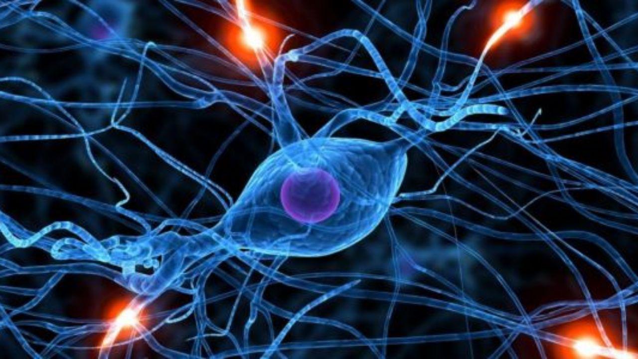 1280x720 Scientists Just Made Tech That Mimics the Brain's Building