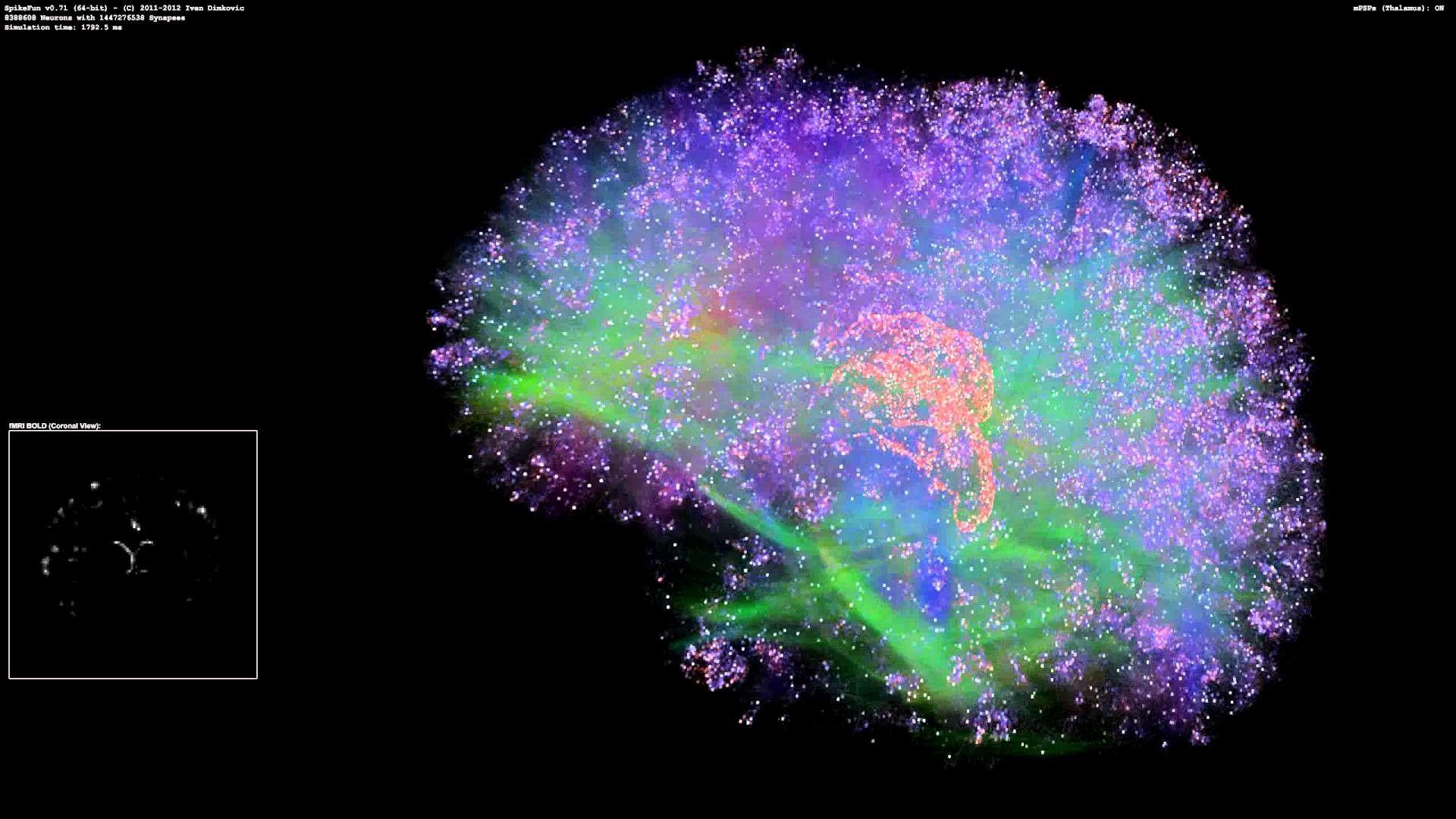 1920x1080 Neuron Wallpaper
