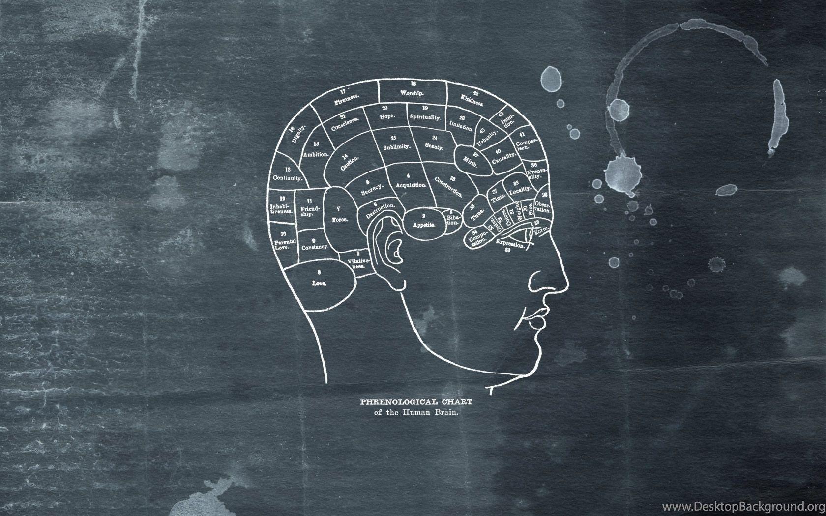 1680x1050 Brain Wallpaper