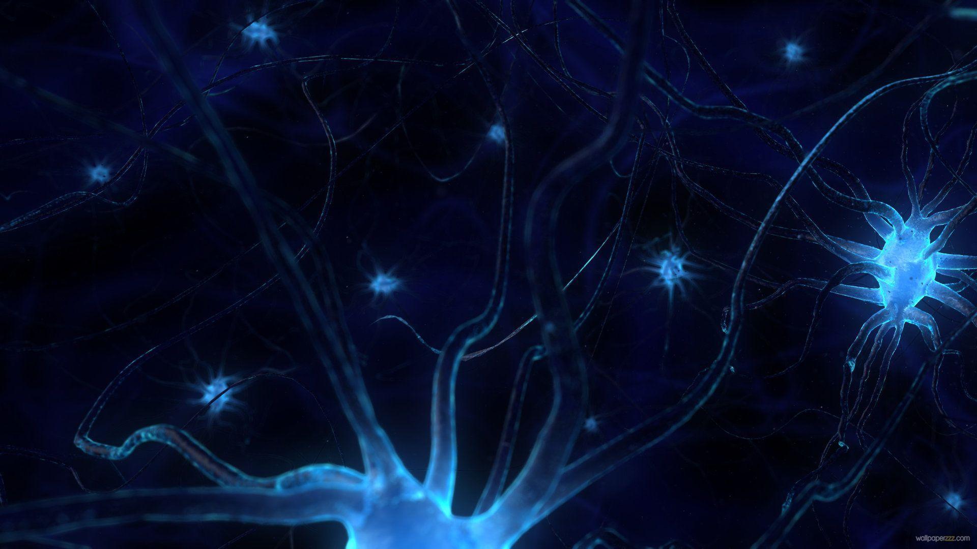 1920x1080 Cyber Brain Background