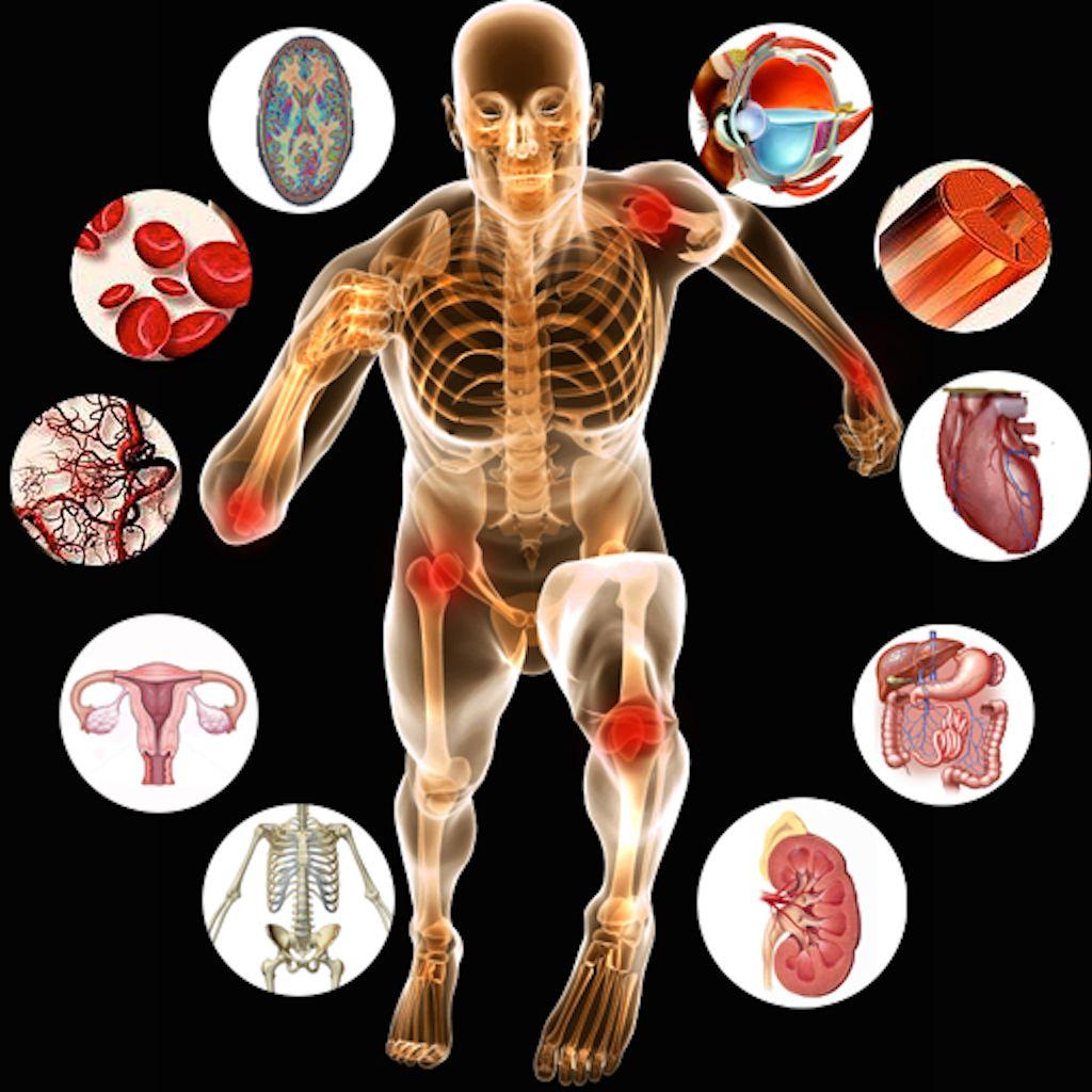 Anatomy and Physiology Wallpapers - Top Free Anatomy and Physiology ...