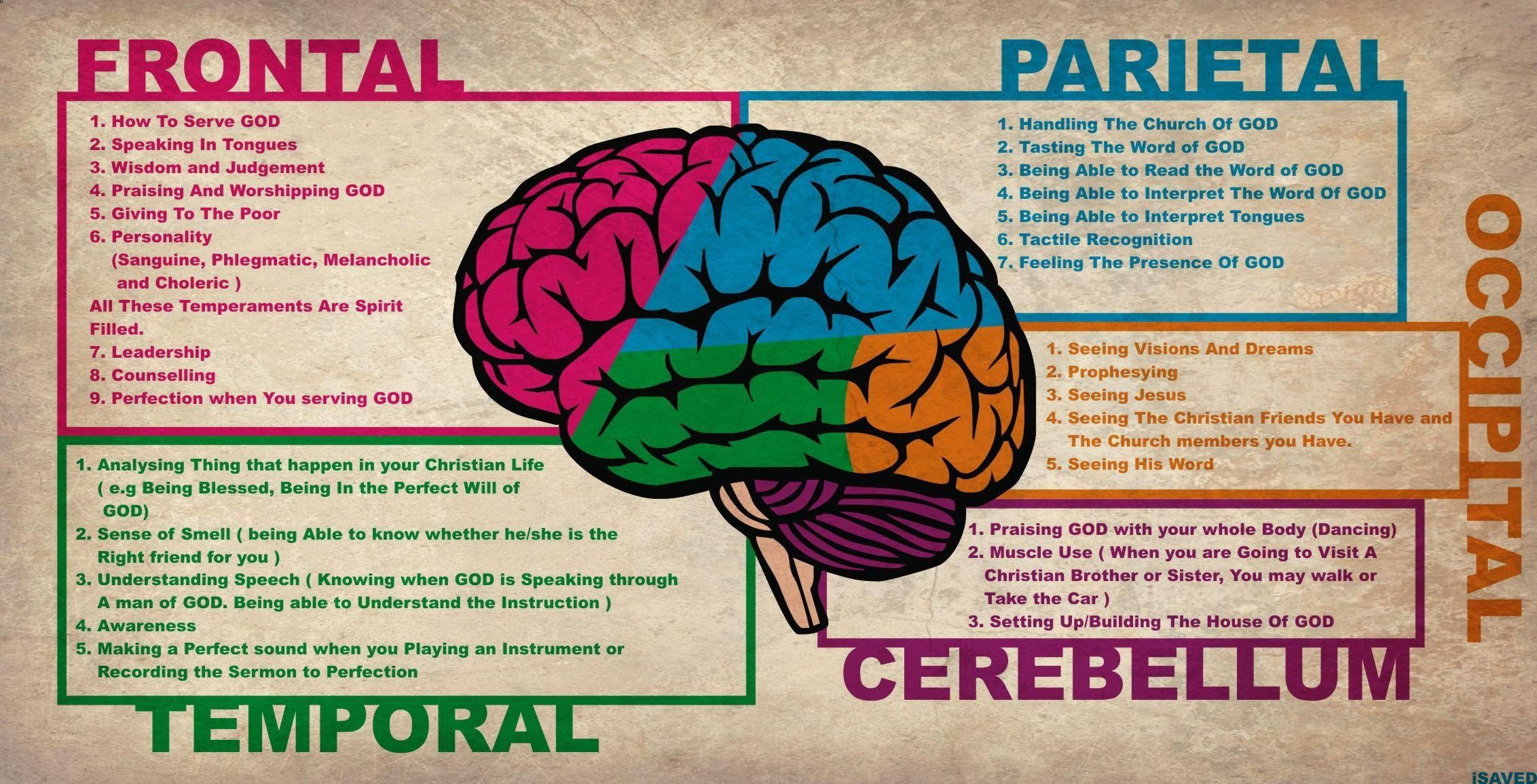 2264x1155 Cerebral Wallpaper. Cerebral
