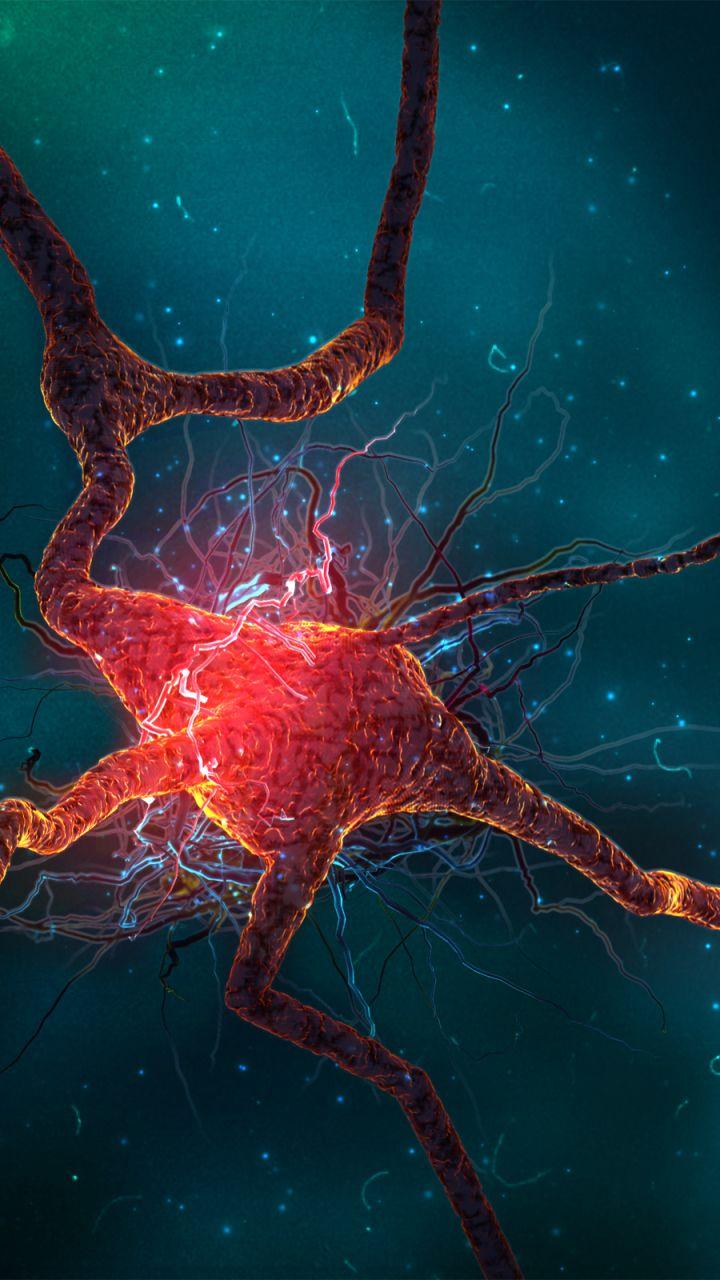 720x1280 Artistic Neuron (720x1280) Wallpaper
