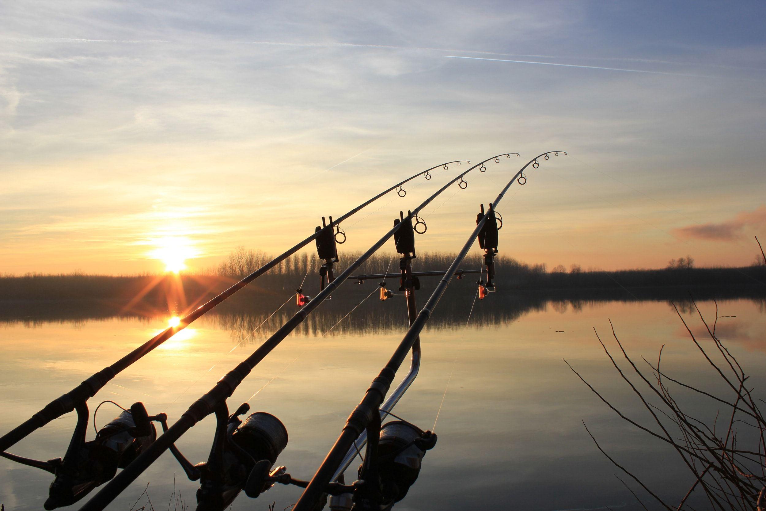 2500x1667 Carpfishing HD