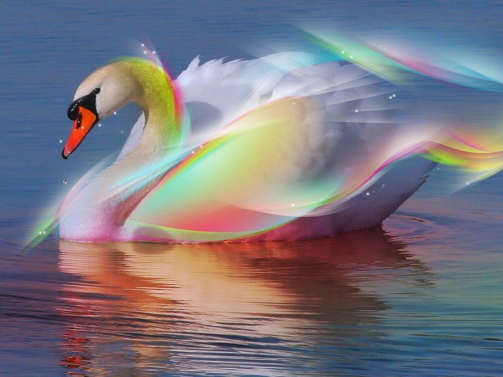 1024x768 Stunning 3D wallpaperx768