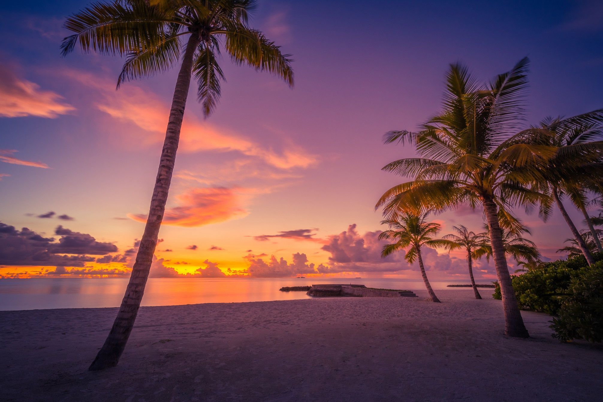 2012x1341 Wallpaper beach, sunset, palm trees, the ocean, The Maldives, Maldives, The Indian ocean, Indian Ocean for mobile and desktop, section пейзажи, resolution 2012x1341