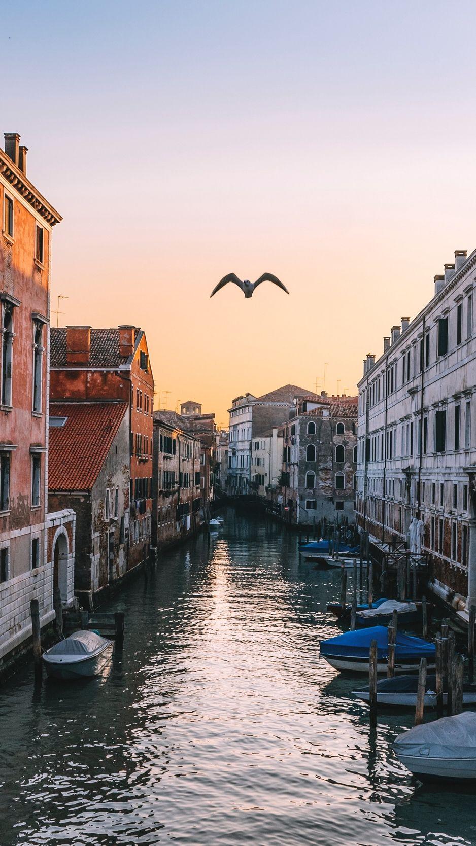 938x1668 Venice River Wallpaper