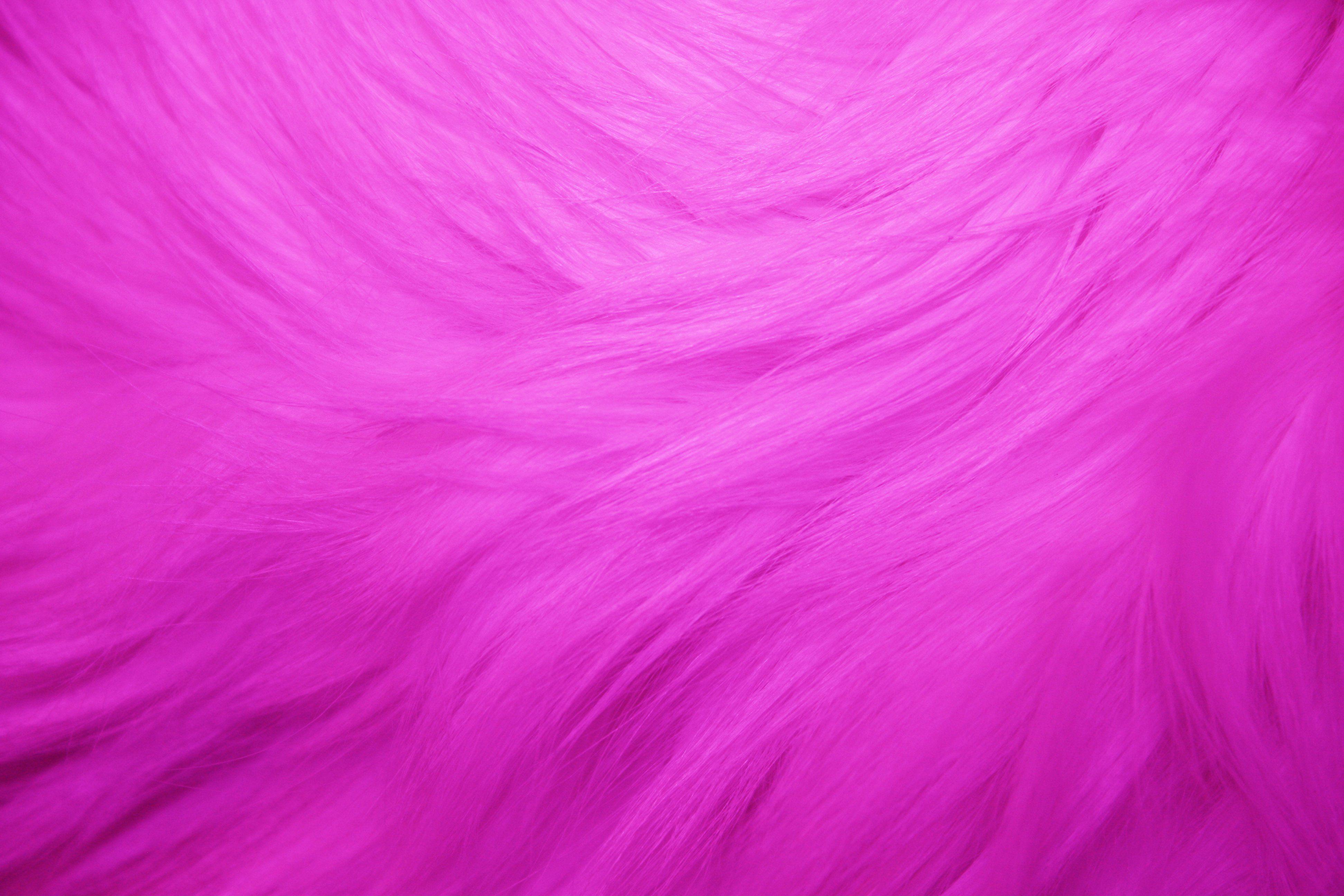 3888x2592 Fuchsia Wallpaper. Fuchsia
