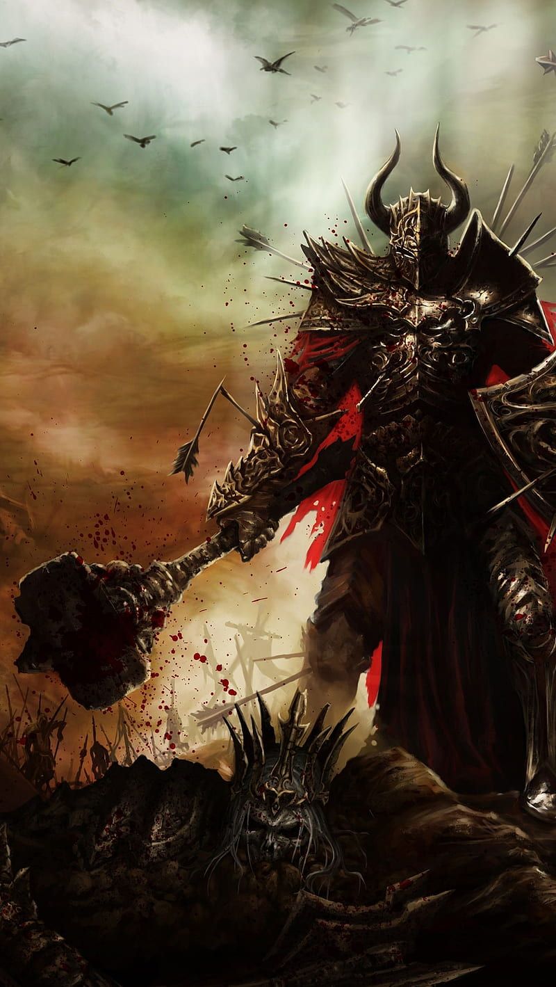 800x1419 Crusader, diablo, diablo HD phone