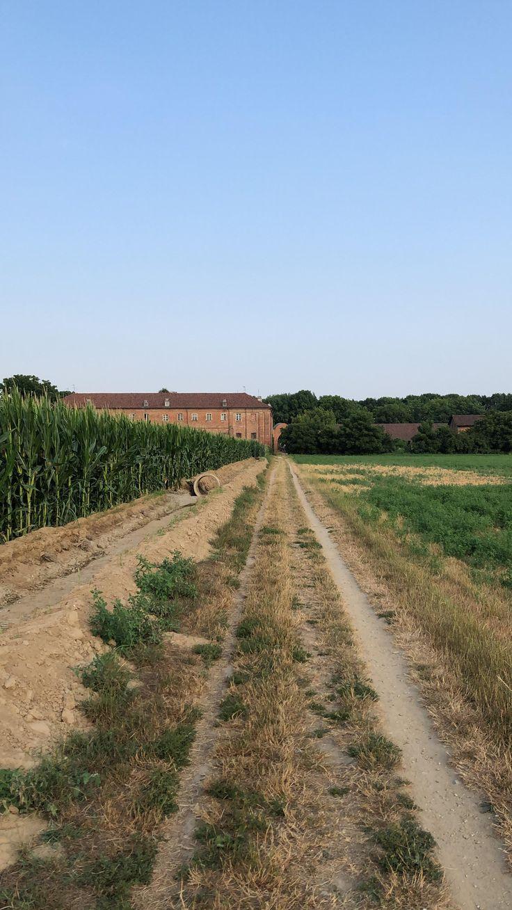 736x1308 Italian countryside (shot on iPhone 8). iPhone Wallpaper
