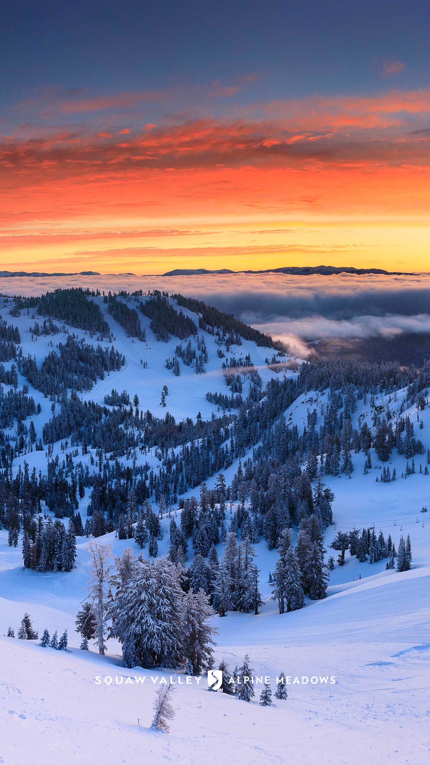 1440x2560 Download Squaw Valley Alpine Meadows Wallpaper