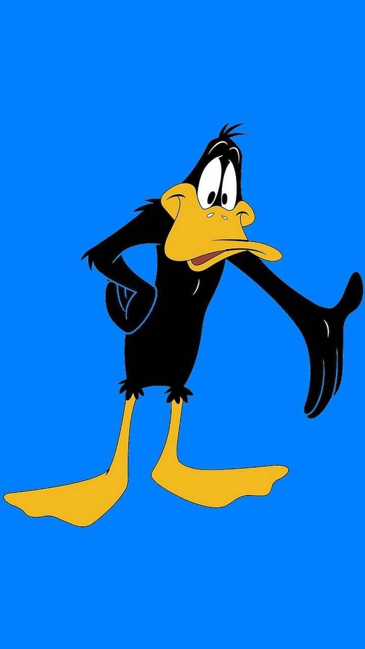 720x1280 Download Daffy Duck Wallpaper
