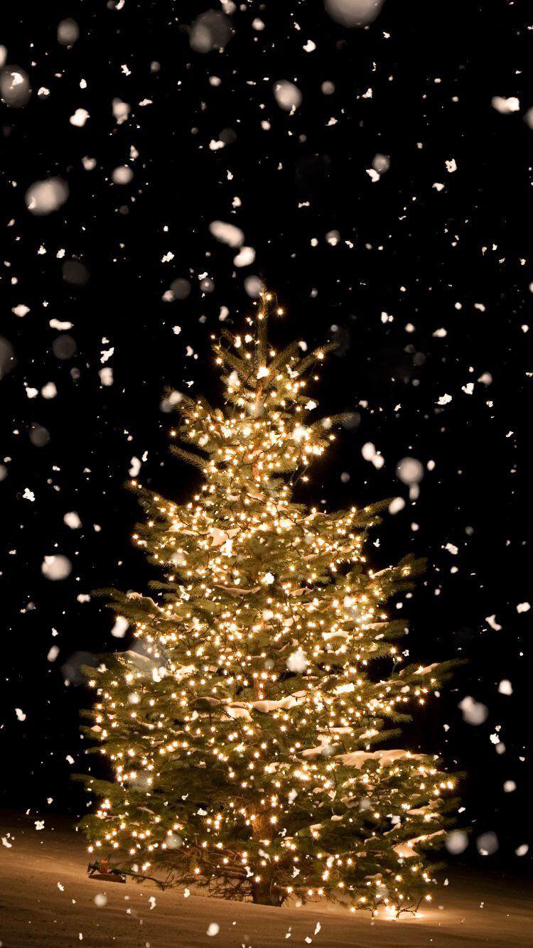 750x1334 Christmas Phone Wallpaper Tree Wallpaper iPhone
