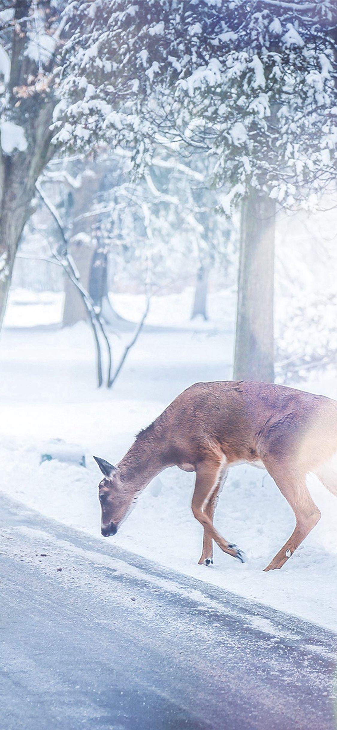 1125x2436 Christmas Deer Street Snow Winter Nature Animal White iPhone