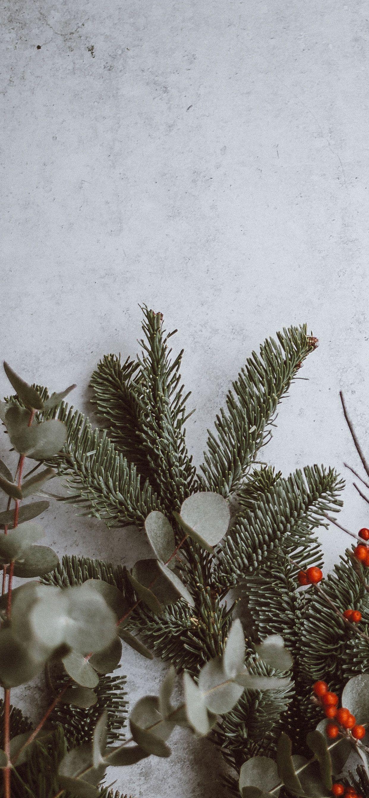 1242x2688 Stunning iPhone XS and XS Max Christmas Wallpaper