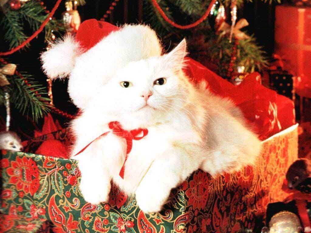 1024x768 Cute Christmas Desktop Background, wallpaper, Cute