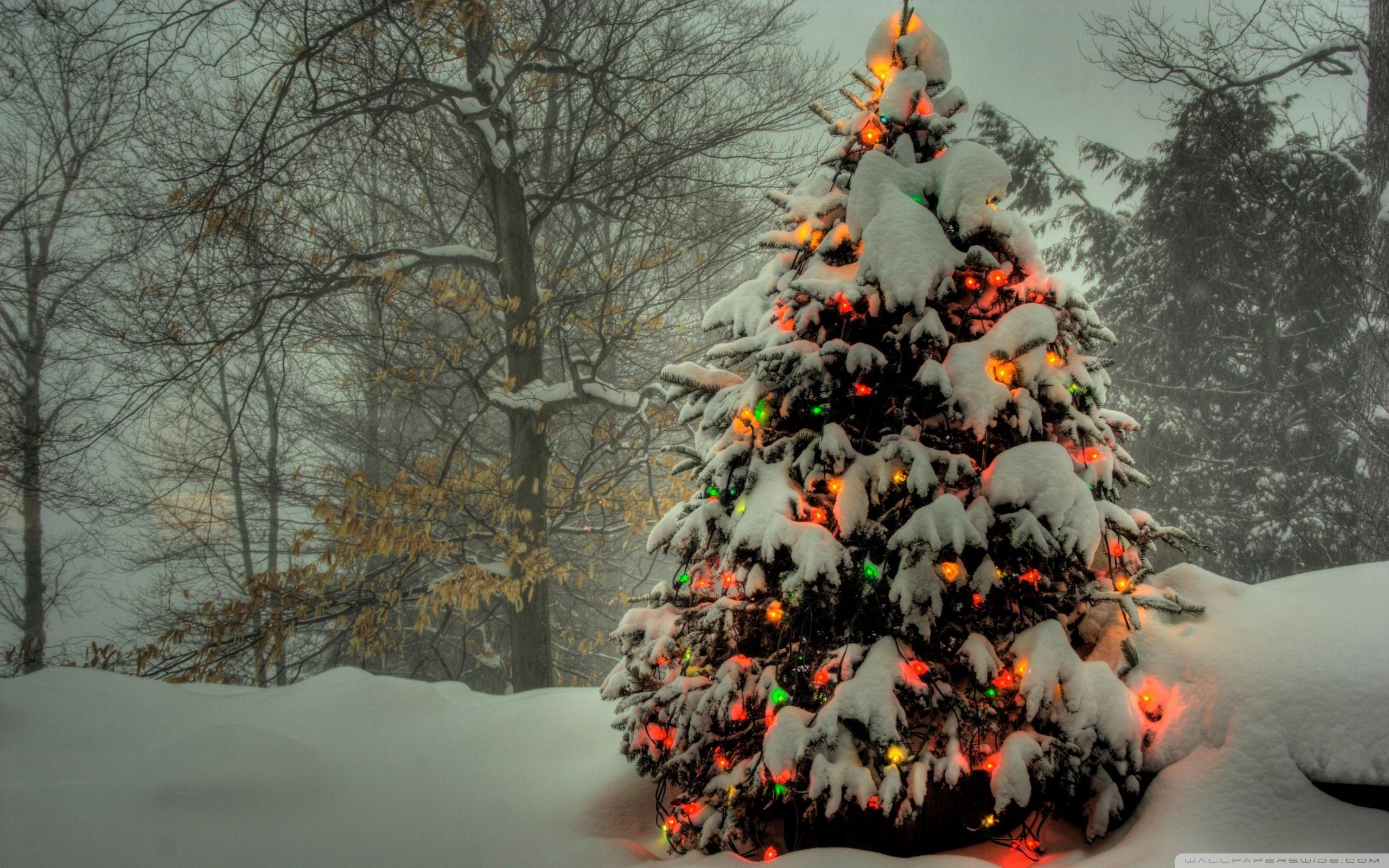 2560x1600 Dual Monitor Christmas Wallpaper, Picture