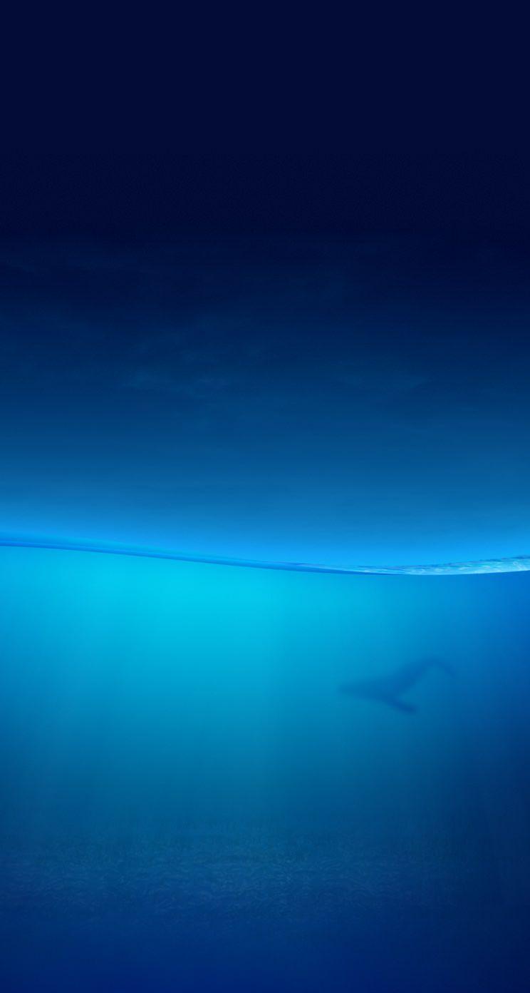 744x1392 Orca Wallpaper iPhone