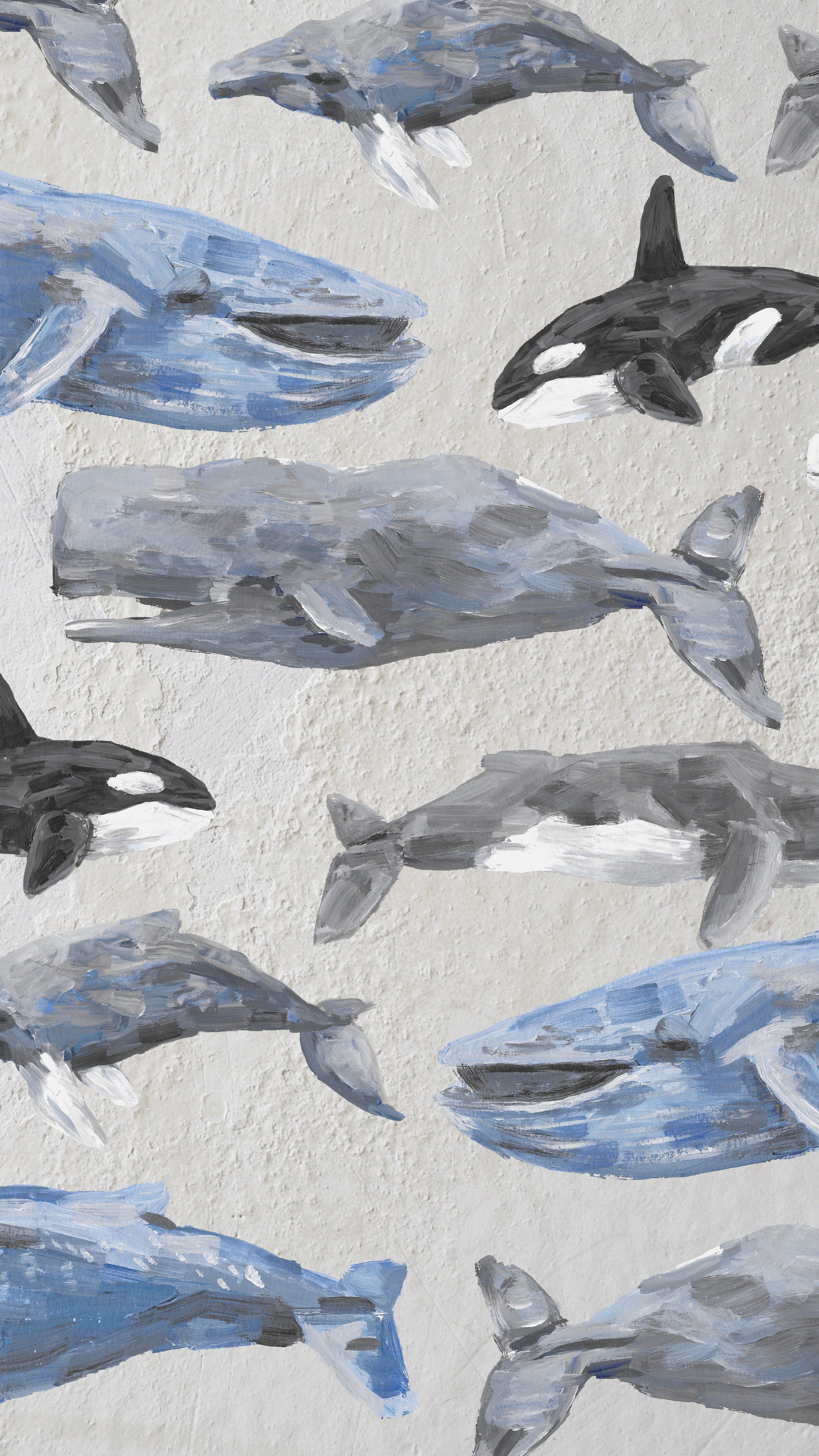 3125x5558 Whale Wallpaper 3194.72 Kb. Wallperio.com™