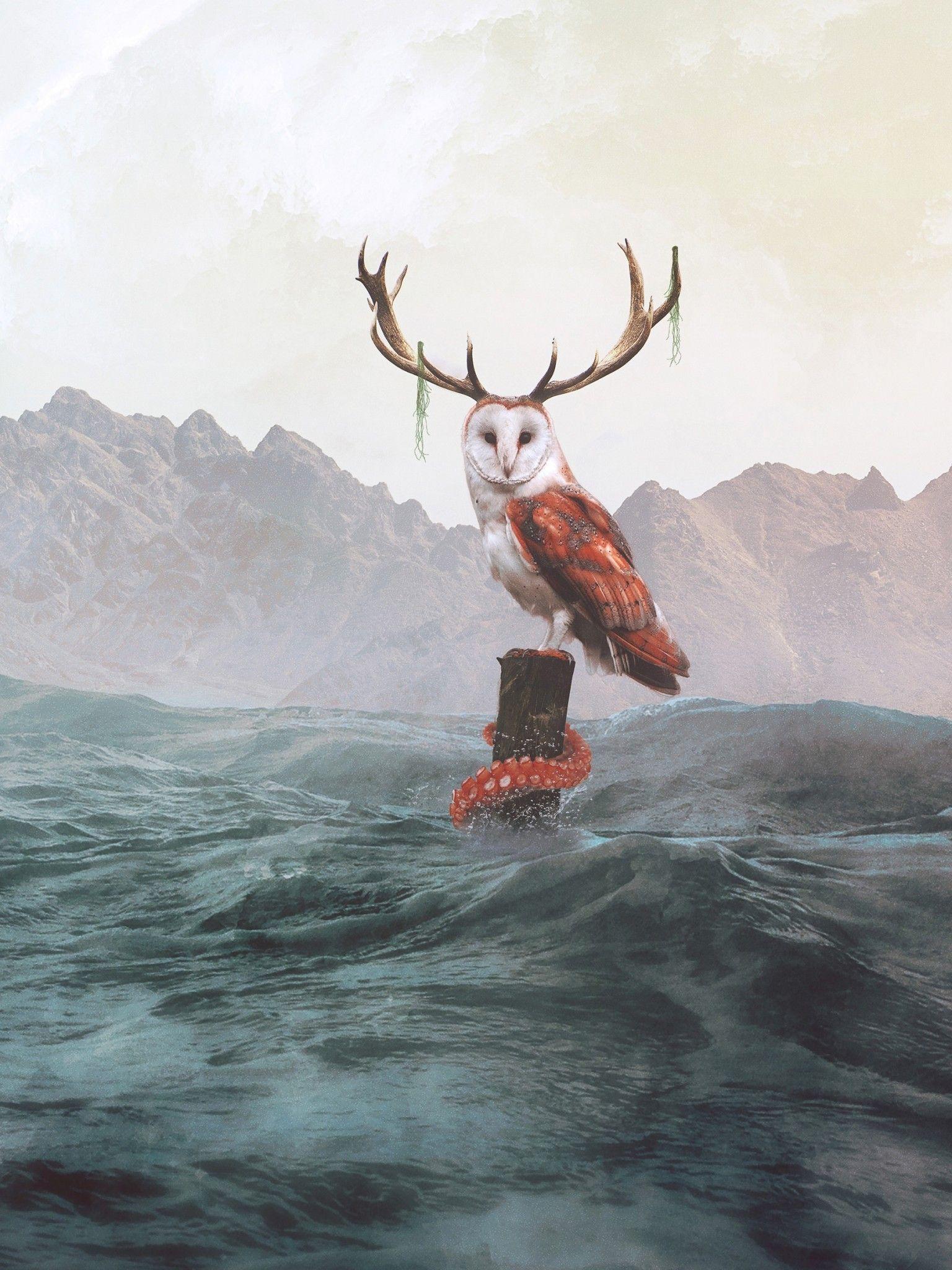 1536x2048 Download 1536x2048 Owl, Waves, Digital Art, Octopus, Ocean