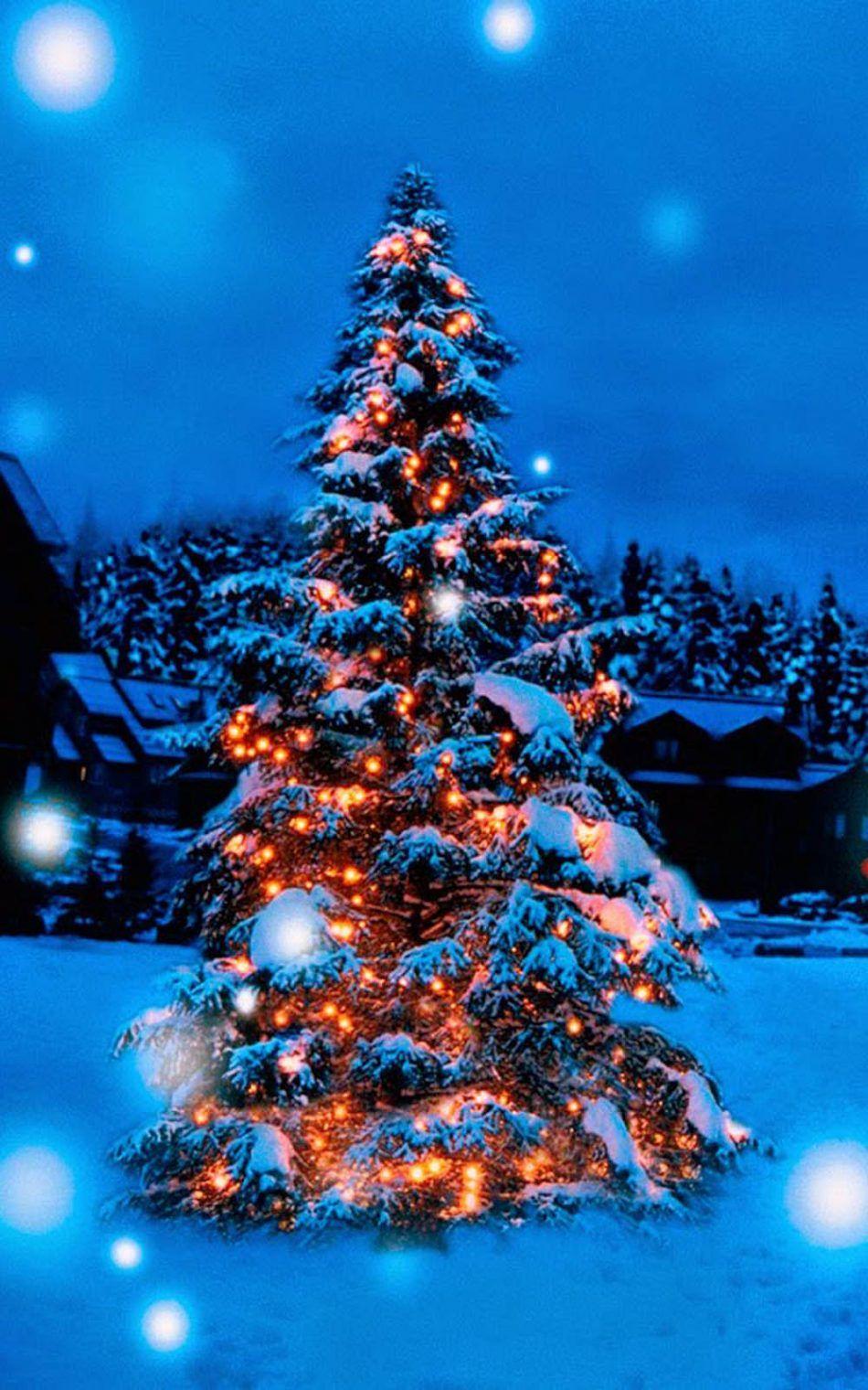 950x1520 Christmas Tree Lights Decoration Snow Covered HD Mobile