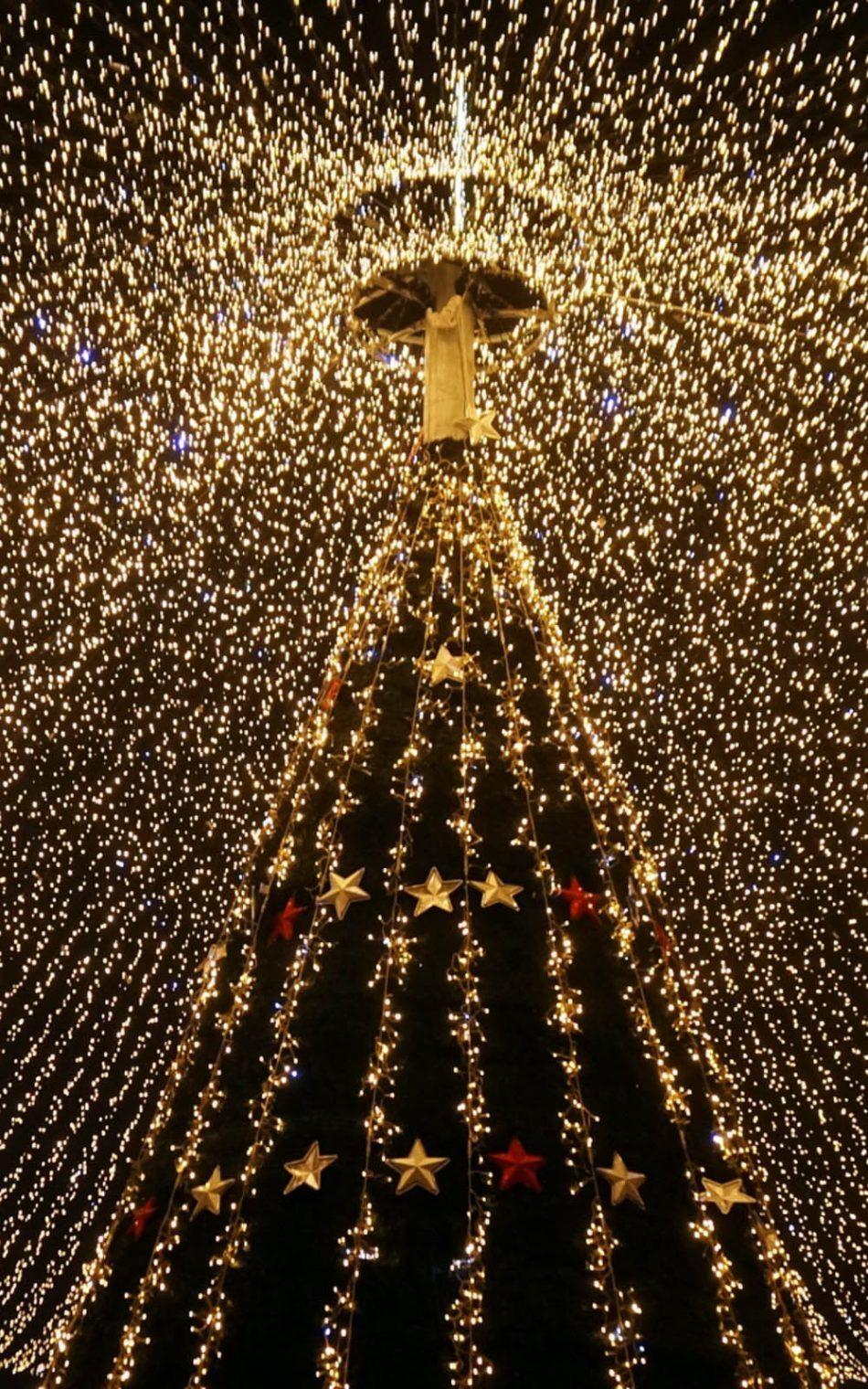 950x1520 Christmas Tree Lights Decorations 4K Ultra HD Mobile Wallpaper