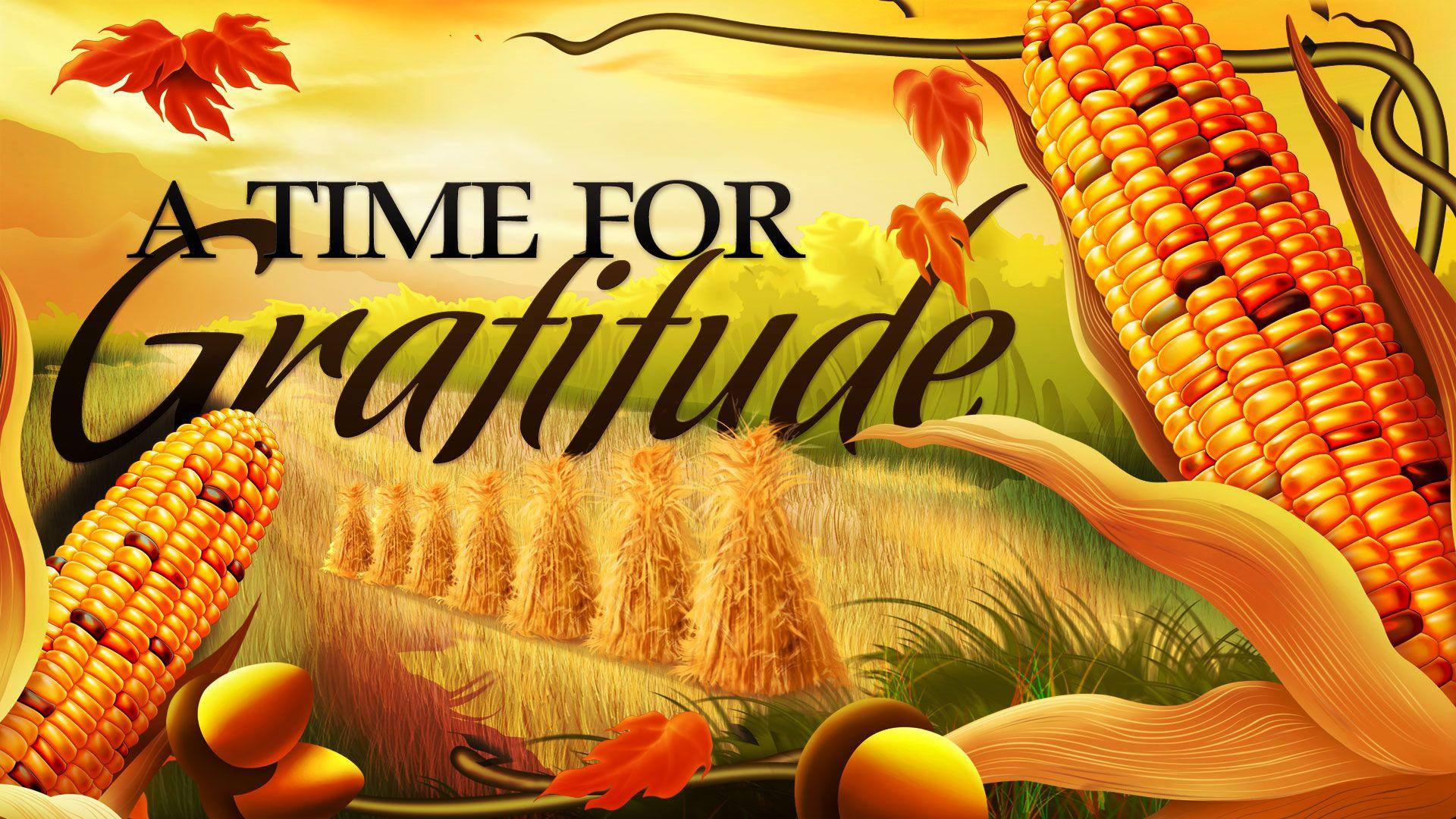 1920x1080 Happy Thanksgiving Day Flower Desktop Wallpaper Fb