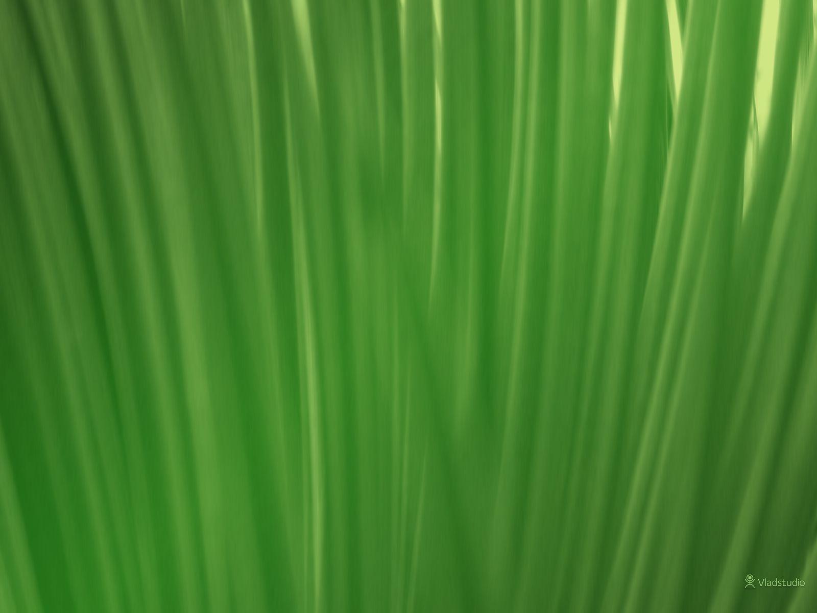 1600x1200 Best Free Summer Wallpaper of 2021