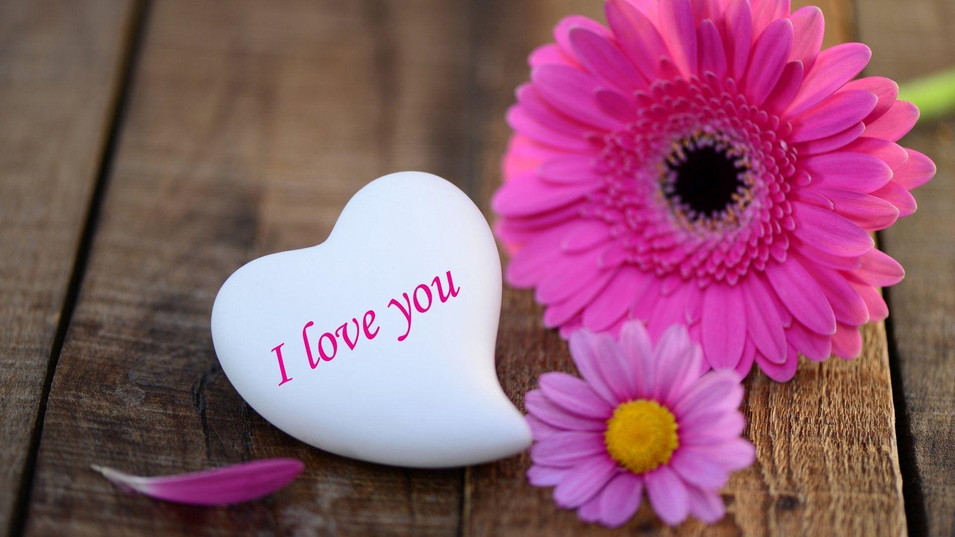 1920x1080 Nature Love Wallpaper