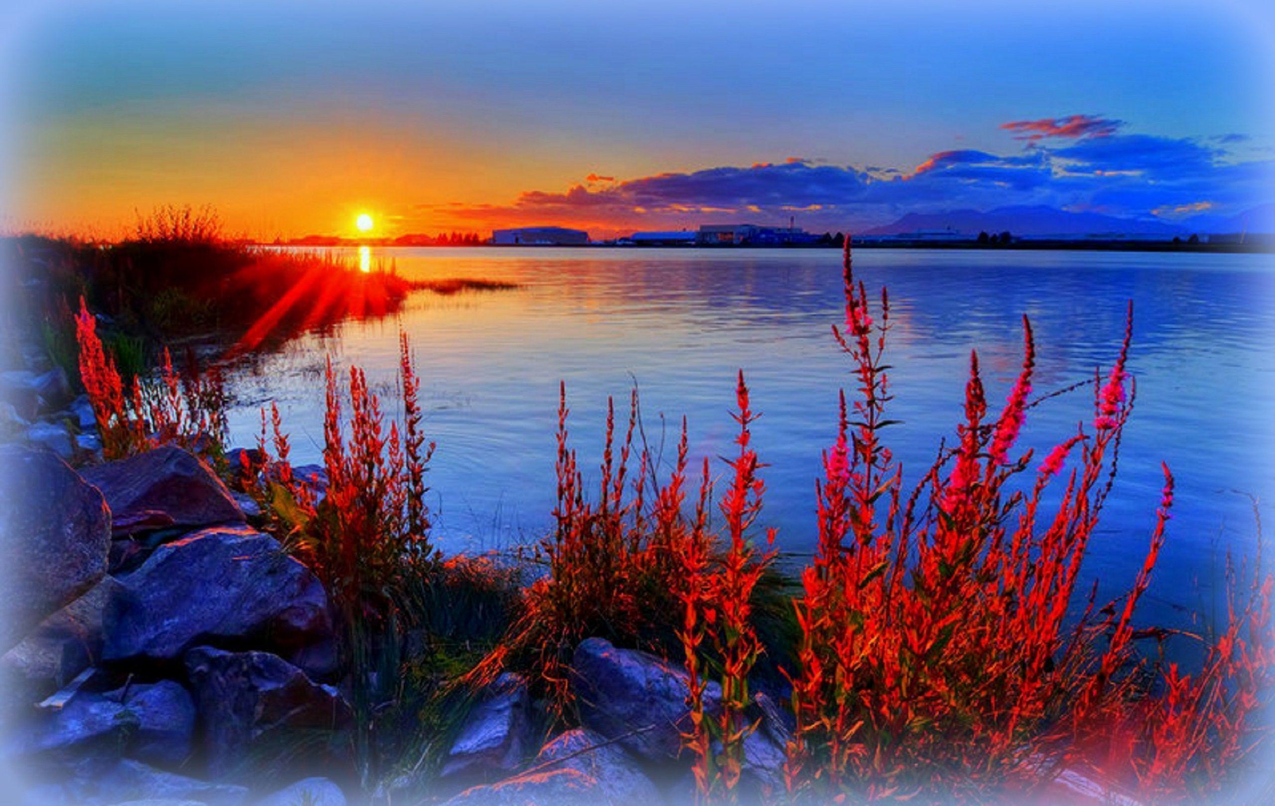 wallpaper app download for pc windows 7