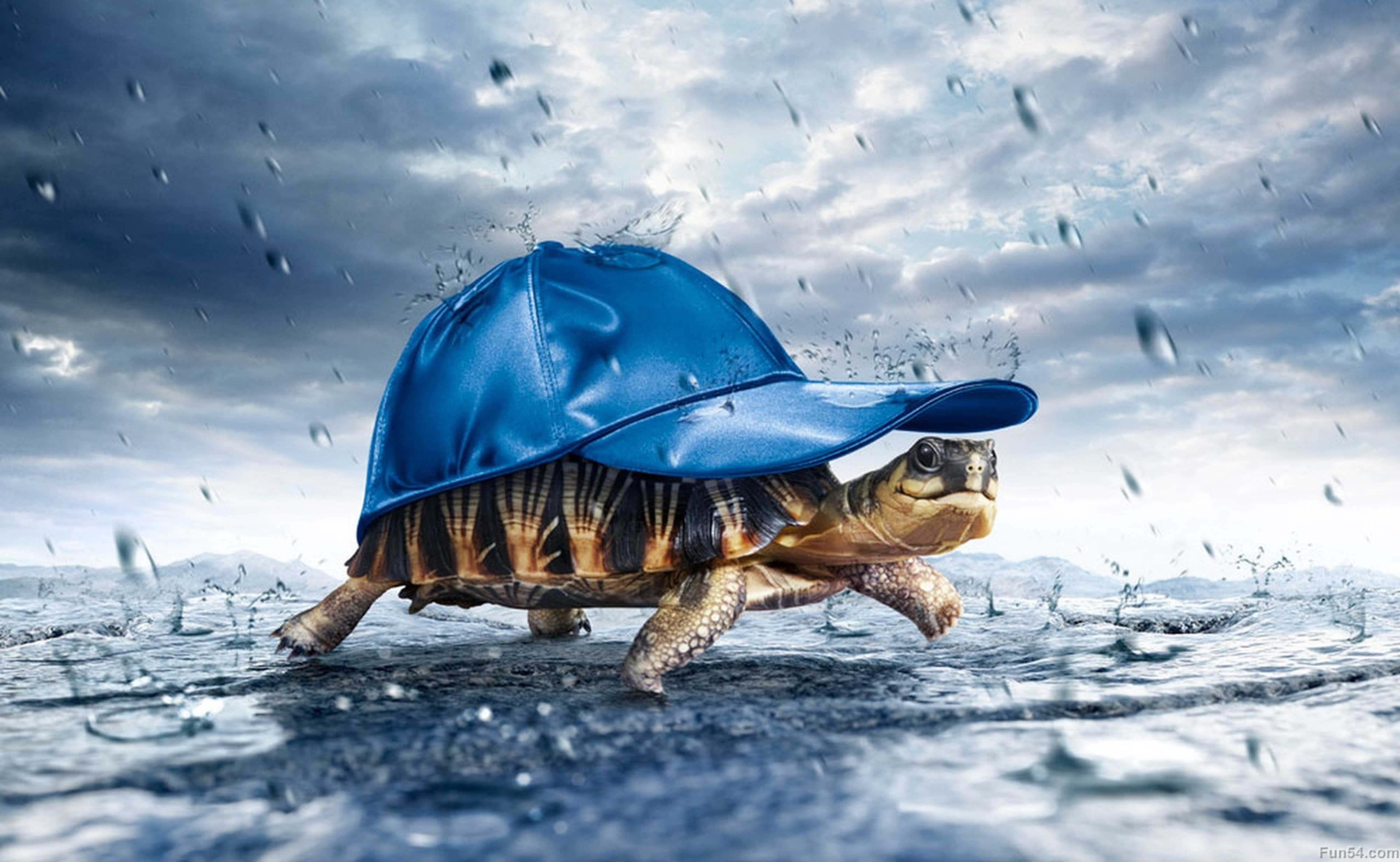 5200x3200 Best 3D Animal Wallpaper. HD Animated Animal Wallpaper