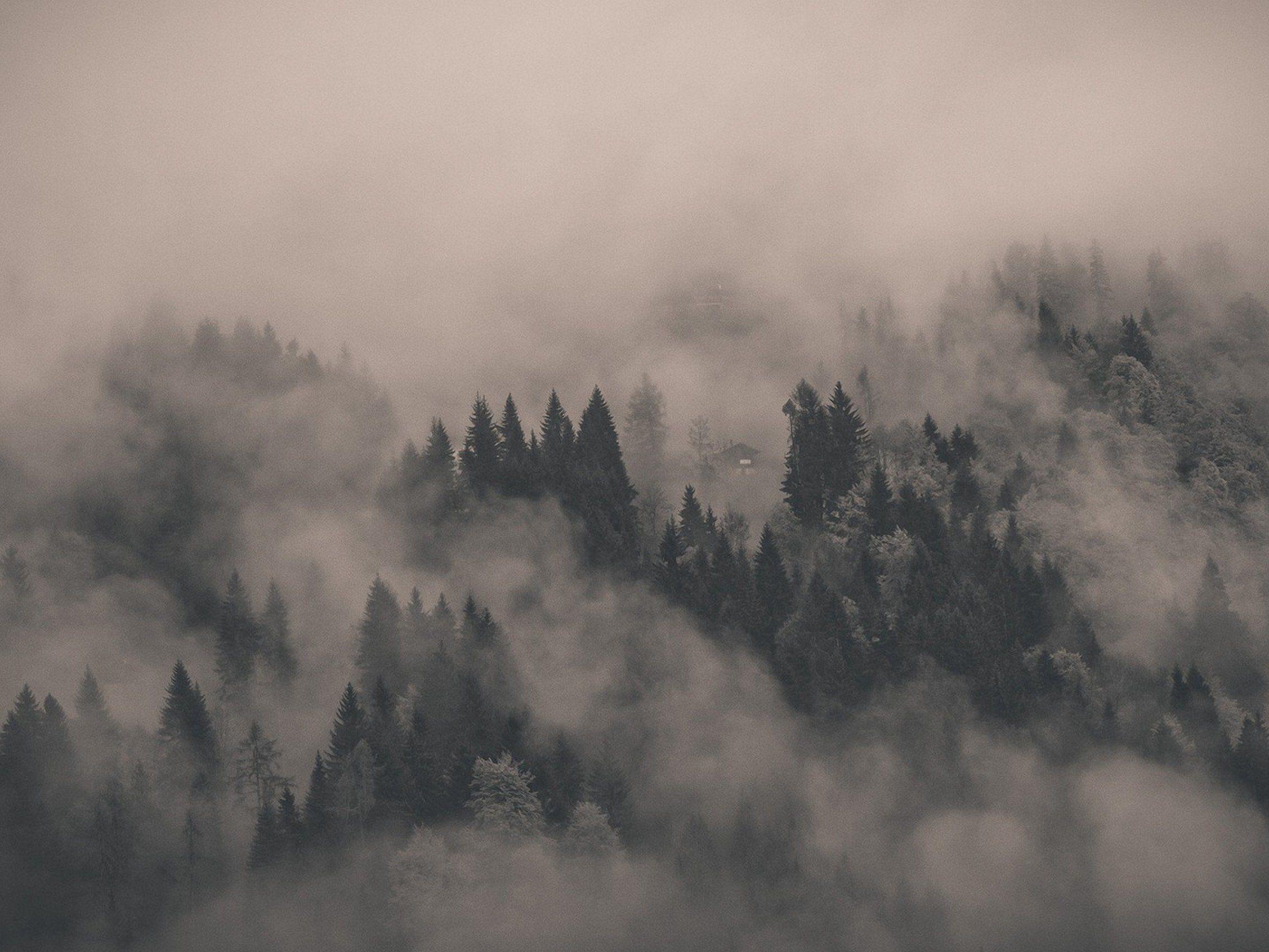 Foggy Wallpapers Top Free Foggy Backgrounds