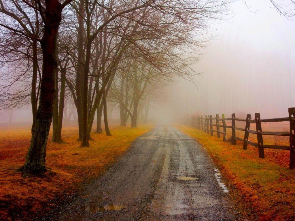 1024x768 Foggy Fall Wallpaper